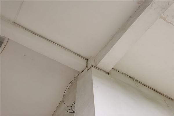 �V���·��|(zh��)����ȫ�z�y���T